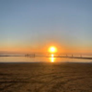 Meet your Posher, Susie